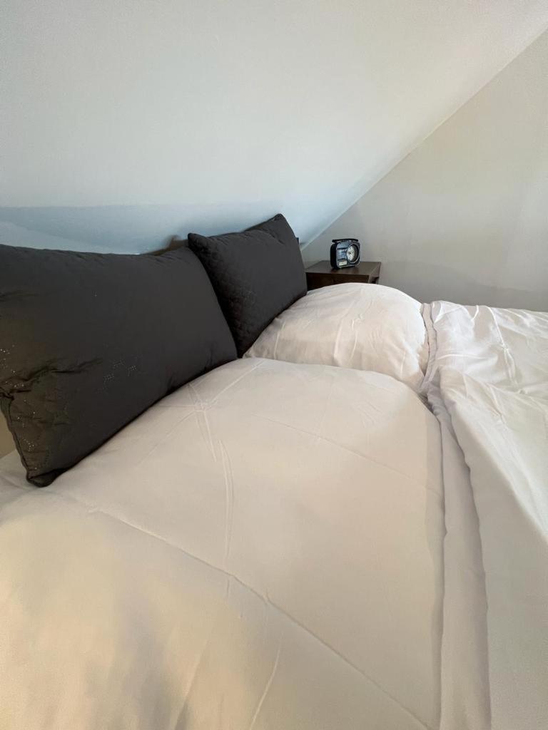 Unique Oldtown / Loft Apartment Nuremberg